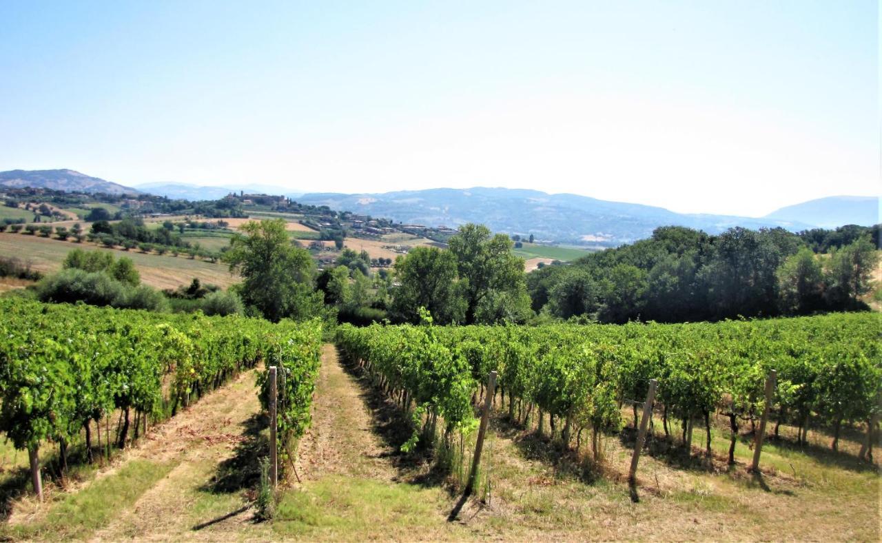 Appartamento Casa con vista spettacolare! Perugia Esterno foto